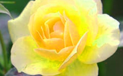 �_�����еĻ�������[����13ƪ]