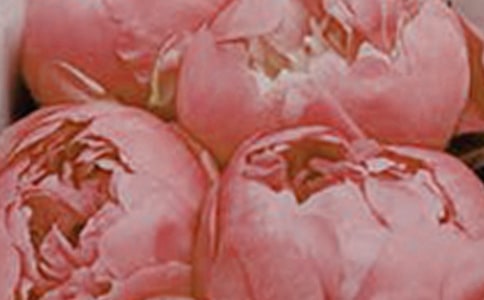 開在記憶深處的花朵作文15篇(通用)