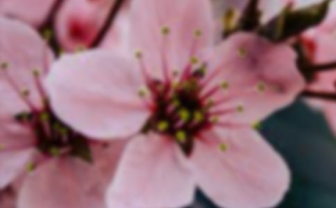 �_�����еĻ�������15ƪ(���T)