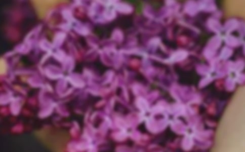 (精)開在記憶深處的花朵作文15篇