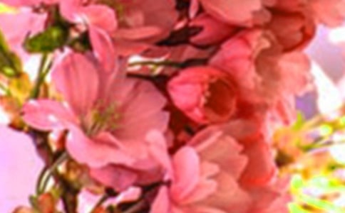 開在記憶深處的花朵作文范例(15篇)