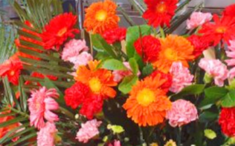 �����T�������@����