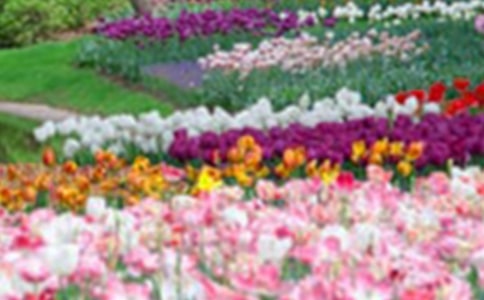 ���ϼ���С���@����