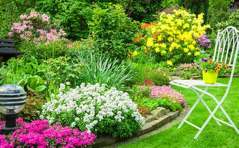 空中花園作文必備15篇