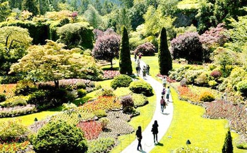 讀《神奇的花園》有感