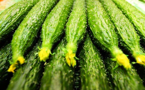 黃瓜的自述作文實用【8篇】