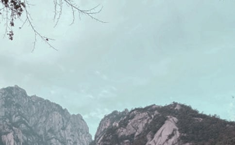 (精品)黃山奇石反思