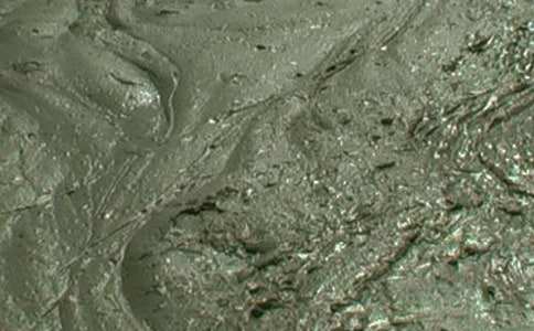 䓽��������ܽY���īI