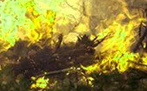 ���(z��i)�����ļ��\��15ƪ��