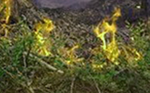 ��ğo������