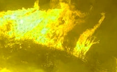 ������ڻ�����