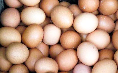 捏不碎的雞蛋作文