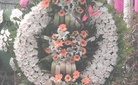 文明祭奠倡議書