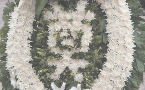 網上祭奠英雄的作文