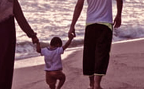 [���T]��ͥ�������_�n�^���