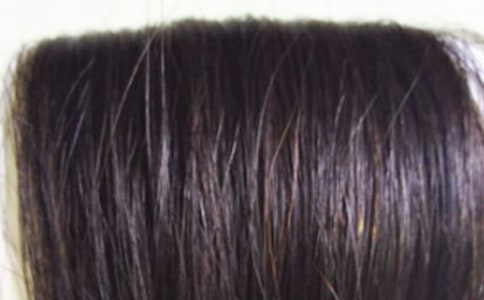 暑假發生的趣事作文450字(精選20篇)