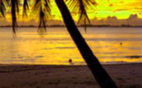 假期計劃作文【集錦3篇】