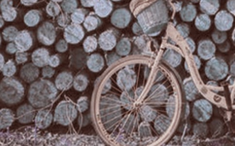 學騎腳踏車敘事作文300字