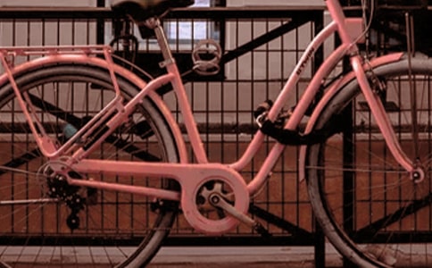 我和我的腳踏車作文450字