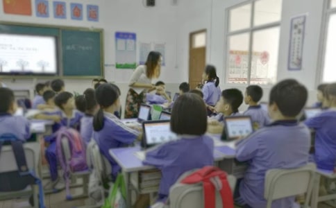 �P���_��ؽ̌W���