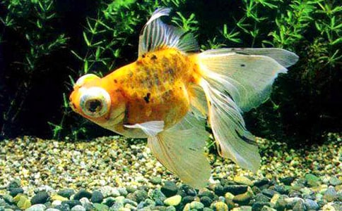 ������С���~����