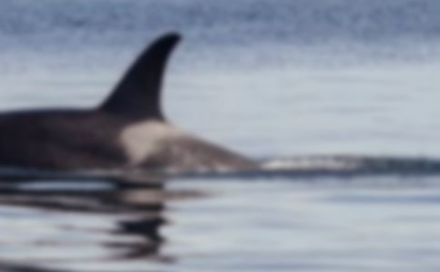 �L�~���U������������