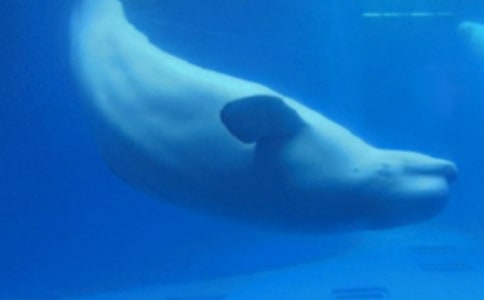 ��ͨ�ã��P���L�~������