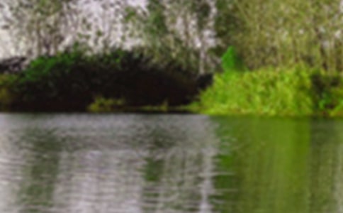 ���؂䣩���@�ľ�ɫ15ƪ