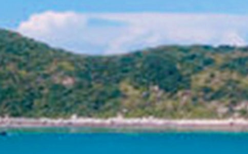 �茑ɽˮ��ɫ��Ԋ��