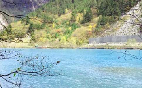 �����ϣ���կ������11ƪ