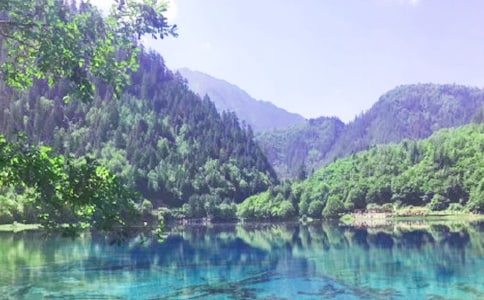 �����㣩�ξ�կ������15ƪ