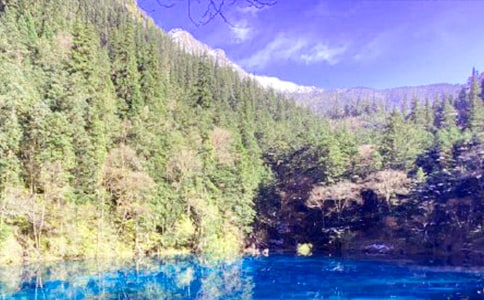 [����]�����ľ�կ��15ƪ