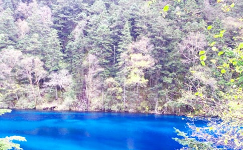 (��Ʒ)��կ������11ƪ