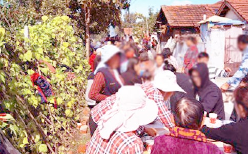 �����ϯ���o(15ƪ)