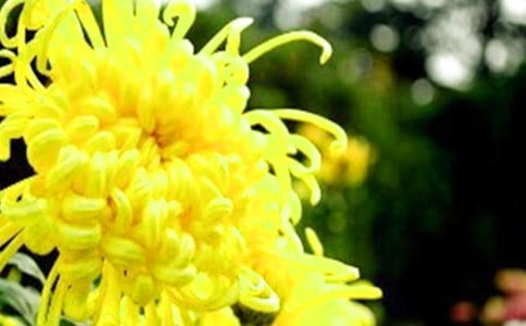 �茑�ջ���Ԋ(sh��)��