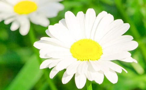 �茑�ջ���Ԋ��20ƪ