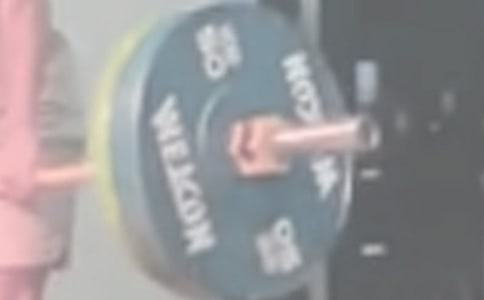 “舉重家”飛飛_小學作文