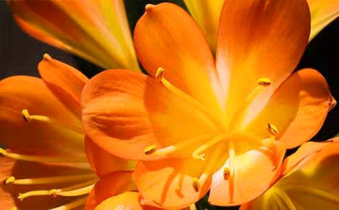 �����m���ġ���(j��ng)�䡿