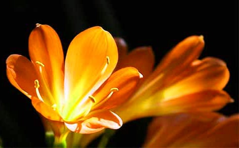 (�؂�)�����m����15ƪ