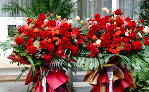 �µ��_�����R�~�����x210�䣩