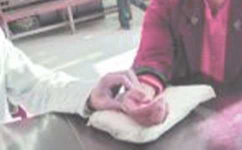 ���W���������x���