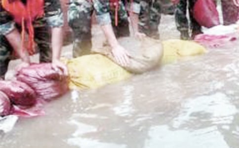 有關抗洪心得體會