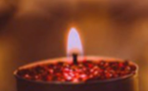 ٝϞ�T���ķ���15ƪ