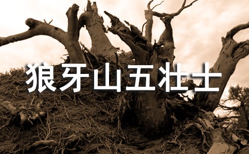 狼牙山五壯士讀后感