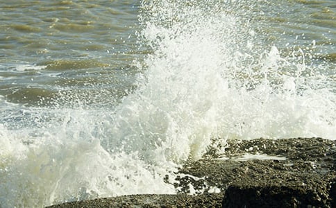 成長的浪花作文