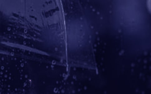 ���������Ԋ��