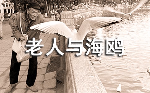 �̌W��˼   �����c���t �����P