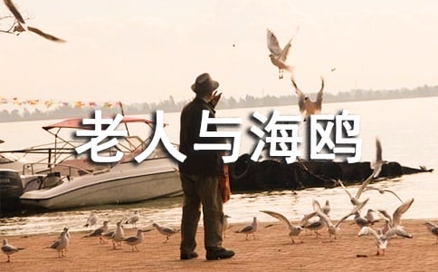 《老人與海鷗》教學設計