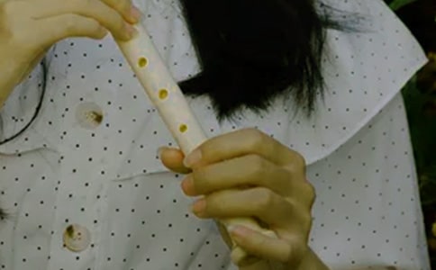 修改個個有理由(打一物)樂器