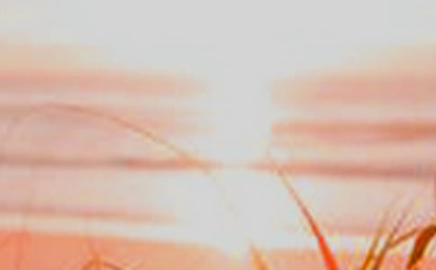 ���^�l(xi��ng)�g��������